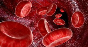 Здоровье по группе крови: счастливчики и невезучие