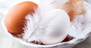 Какие яйца безопаснее?