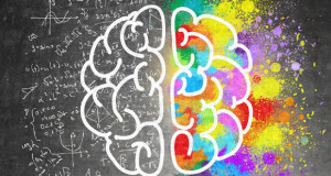 10 беспочвенных мифов о мозге
