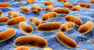 Пожирающая плоть бактерия: 5 важных фактов